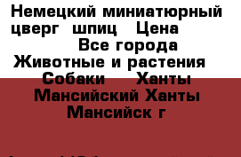 Немецкий миниатюрный(цверг) шпиц › Цена ­ 50 000 - Все города Животные и растения » Собаки   . Ханты-Мансийский,Ханты-Мансийск г.